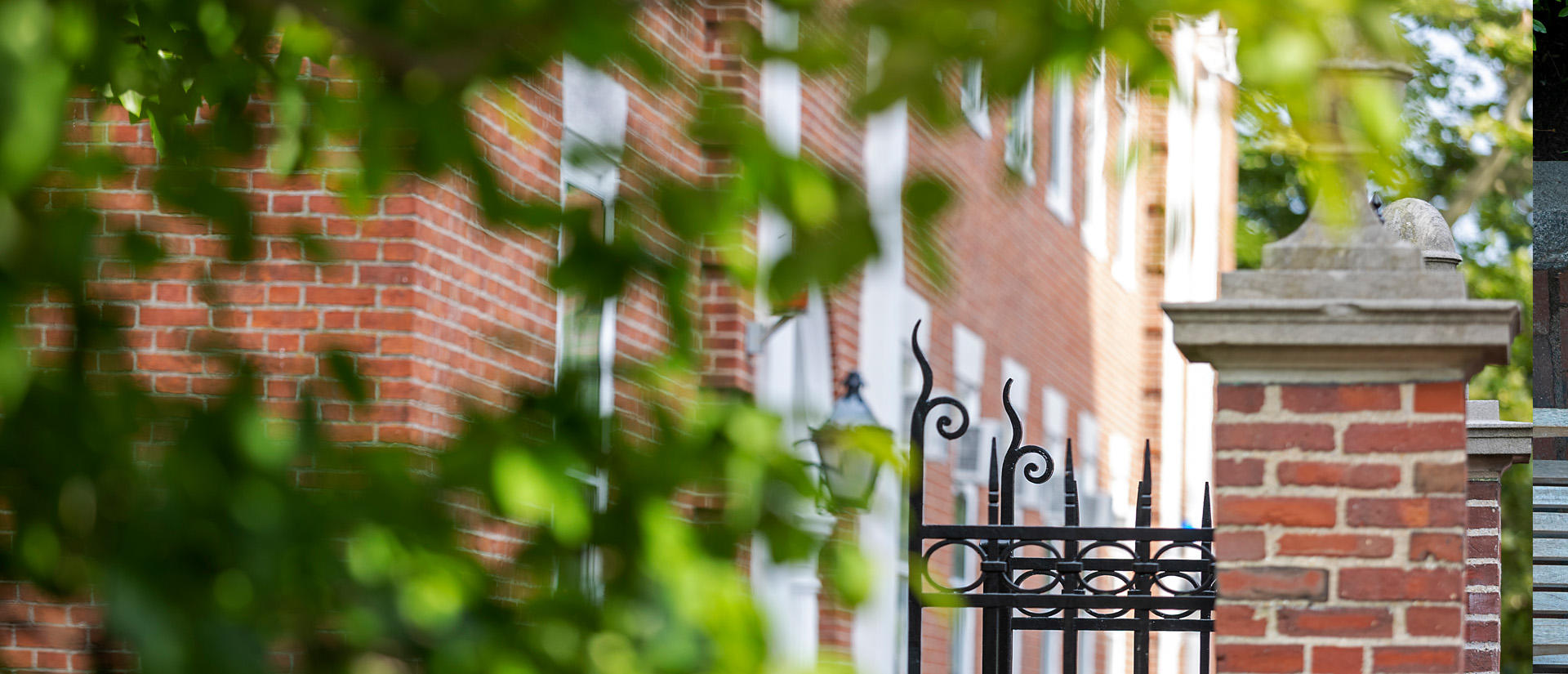 Outside of Longfellow Hall at the Harvard Graduate School of Education, with leaves partially blocking the view